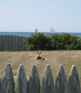 CapeCod2011021