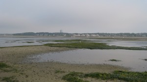 CapeCod2012111