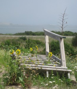 CapeCod2012377