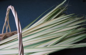 PalmSunday0141